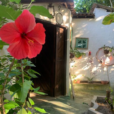 Conjunto Sol Roots Villa Praia de Pipa Luaran gambar